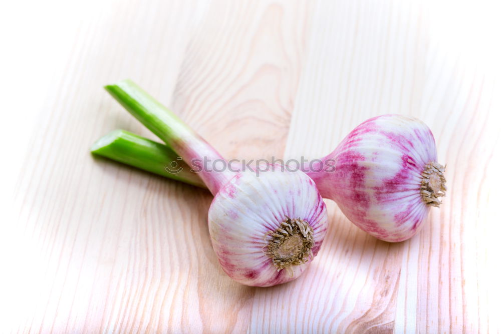 Similar – Pink Tulips On Turquoise Wood Table