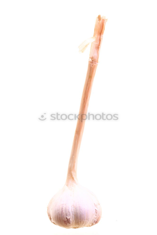 Similar – Image, Stock Photo On slender feet Flamingo