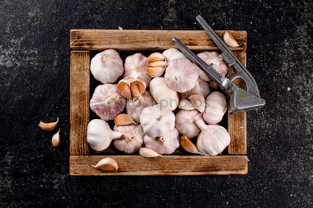 Similar – Image, Stock Photo jeschnibbelte mushrooms III