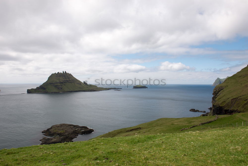 Similar – Ireland Ocean Sheep