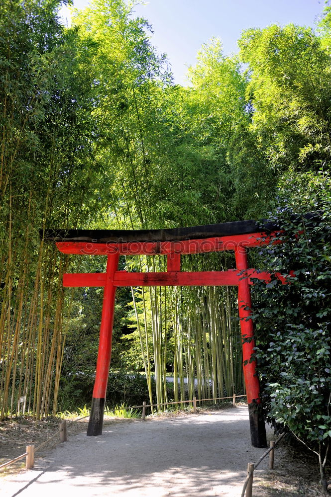 Similar – Japanese arches and path