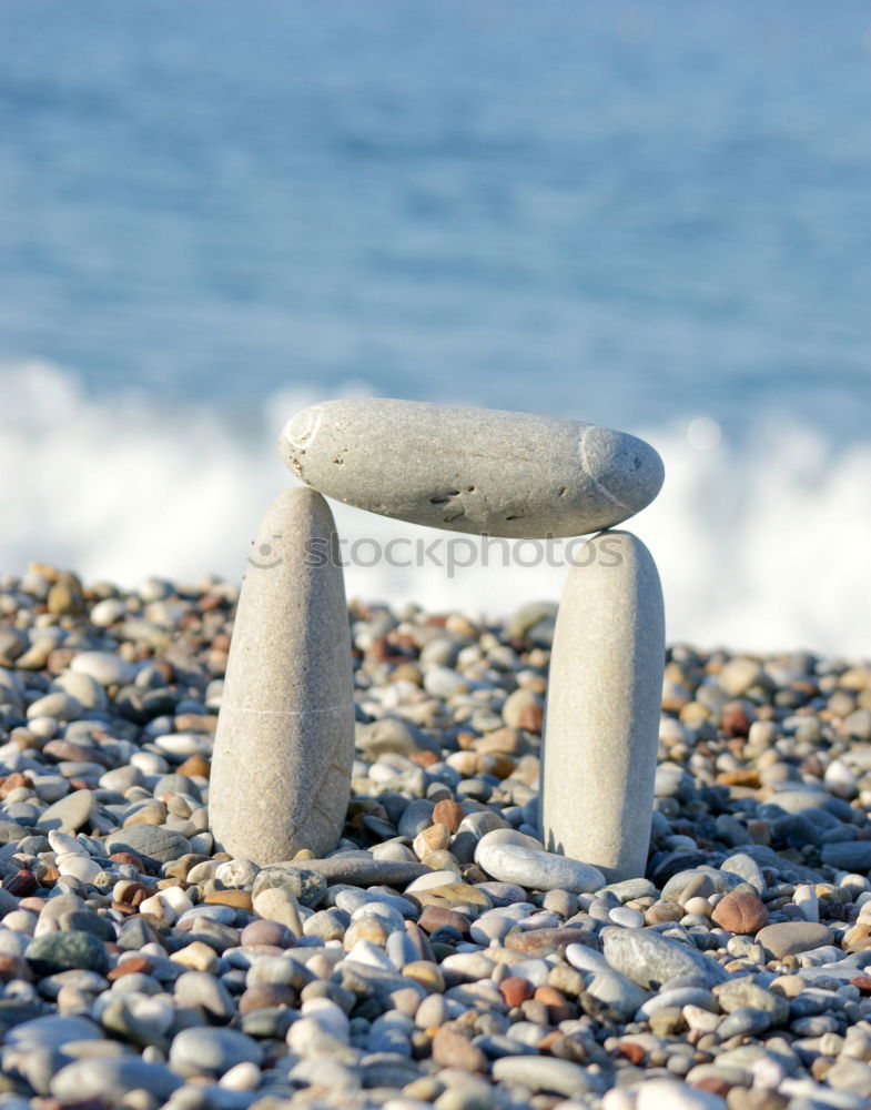 Similar – Image, Stock Photo paradise Mussel Beach