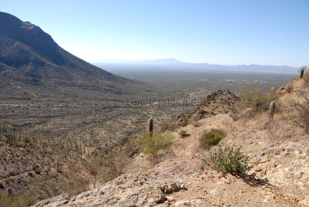 Similar – Landschaft Palm Springs