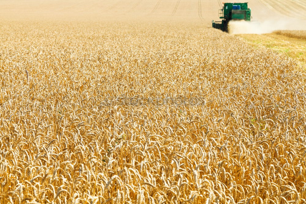 Similar – Image, Stock Photo Tractor 1 Field Farmer