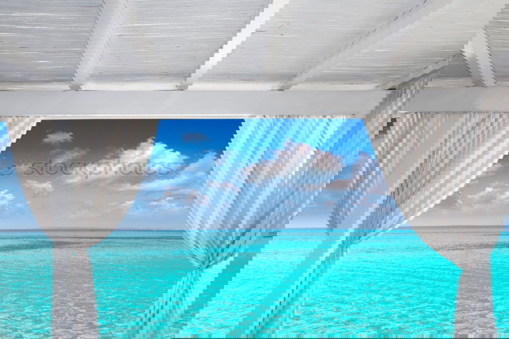 Similar – Image, Stock Photo mauritius and isle Pot