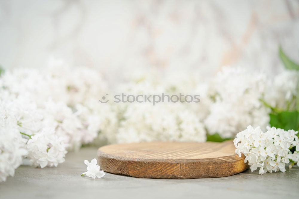 Similar – Image, Stock Photo bouquet of white flowering lilies of the valley