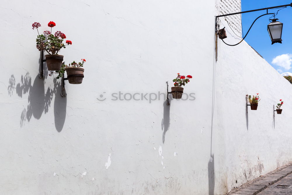 Similar – Image, Stock Photo neat Curtain Cloudless sky