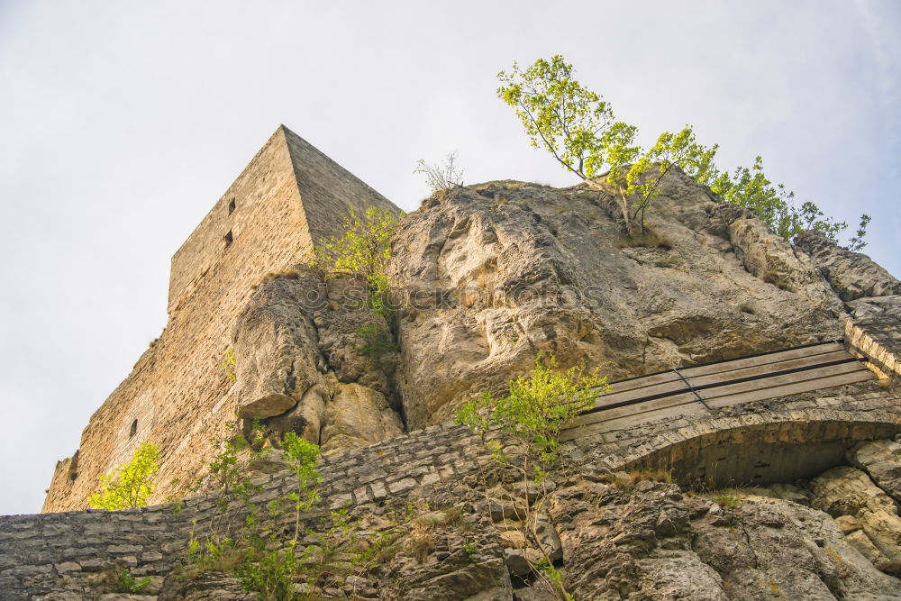 Similar – Foto Bild Auf der Höhe sein Natur