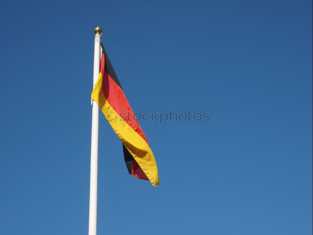 Similar – The Flemish Lion Flag