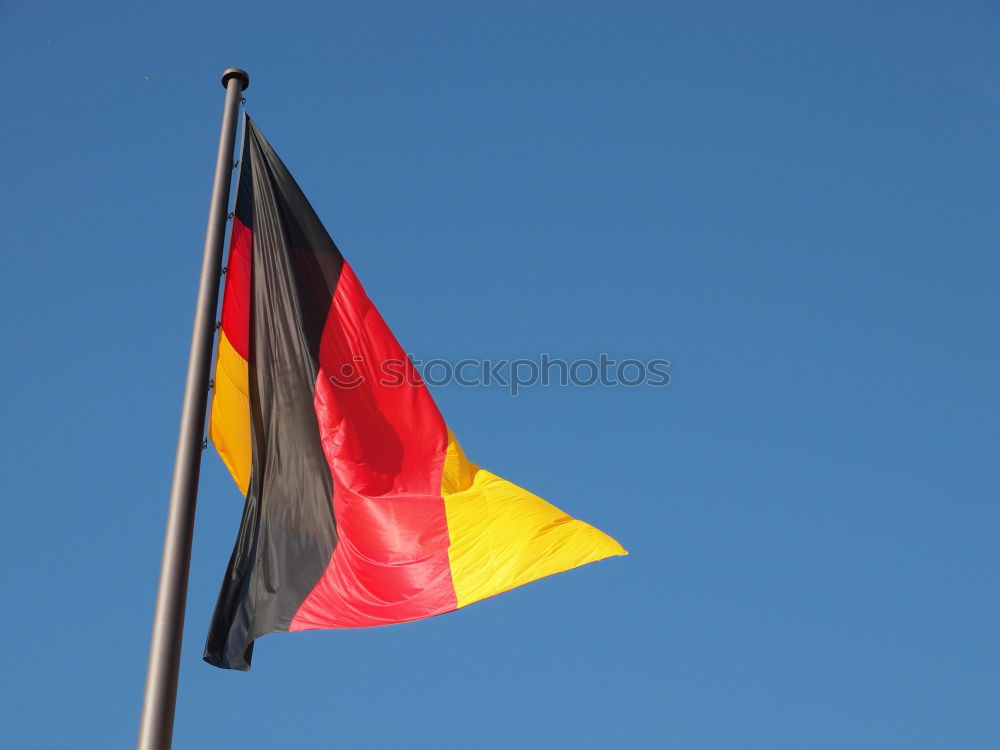 Similar – The Flemish Lion Flag