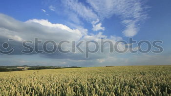 Similar – Image, Stock Photo Is a thunderstorm coming?