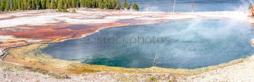 Similar – Image, Stock Photo Bacterial species