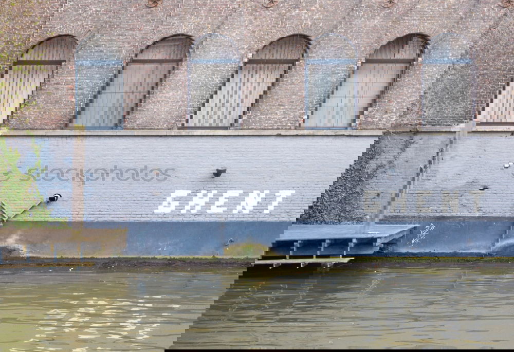 Foto Bild PULL THE PLUG Wasser