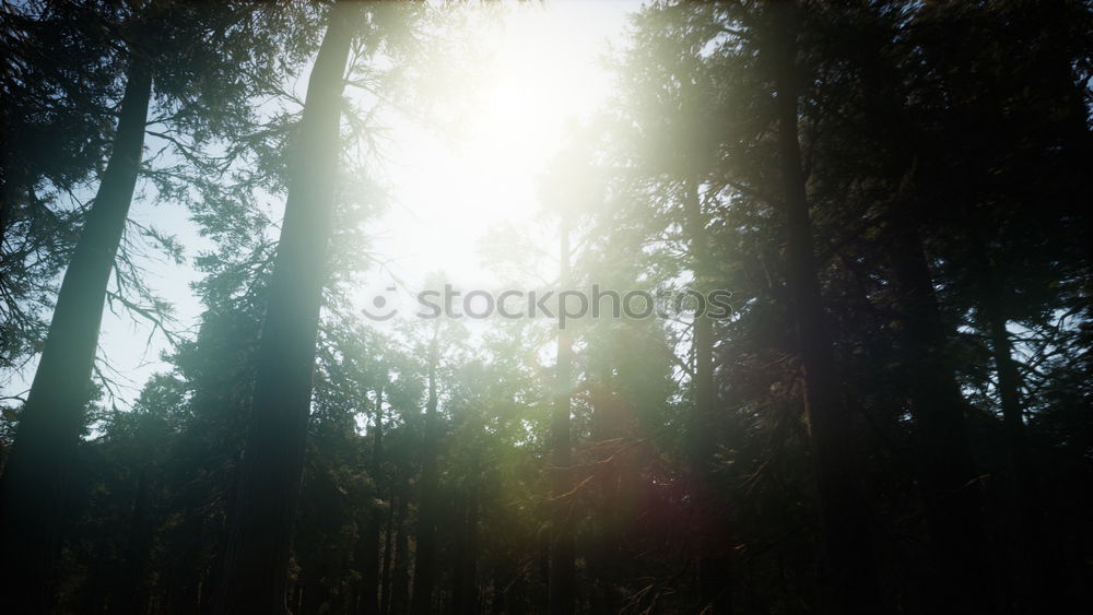 Similar – Image, Stock Photo Blown away Sky Autumn