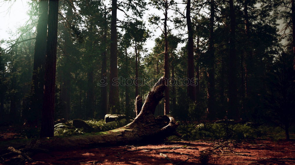 Similar – Image, Stock Photo Summer on the outskirts of the big city