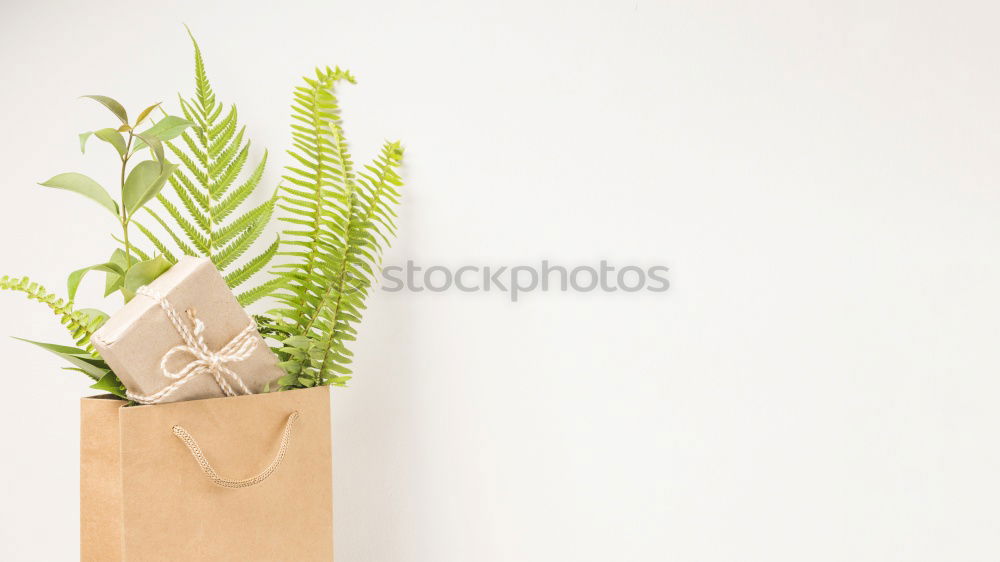 Similar – Image, Stock Photo cacti Cactus Plant Oxygen