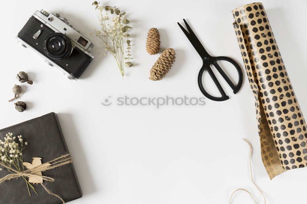 Similar – Image, Stock Photo Fashion christmas concept