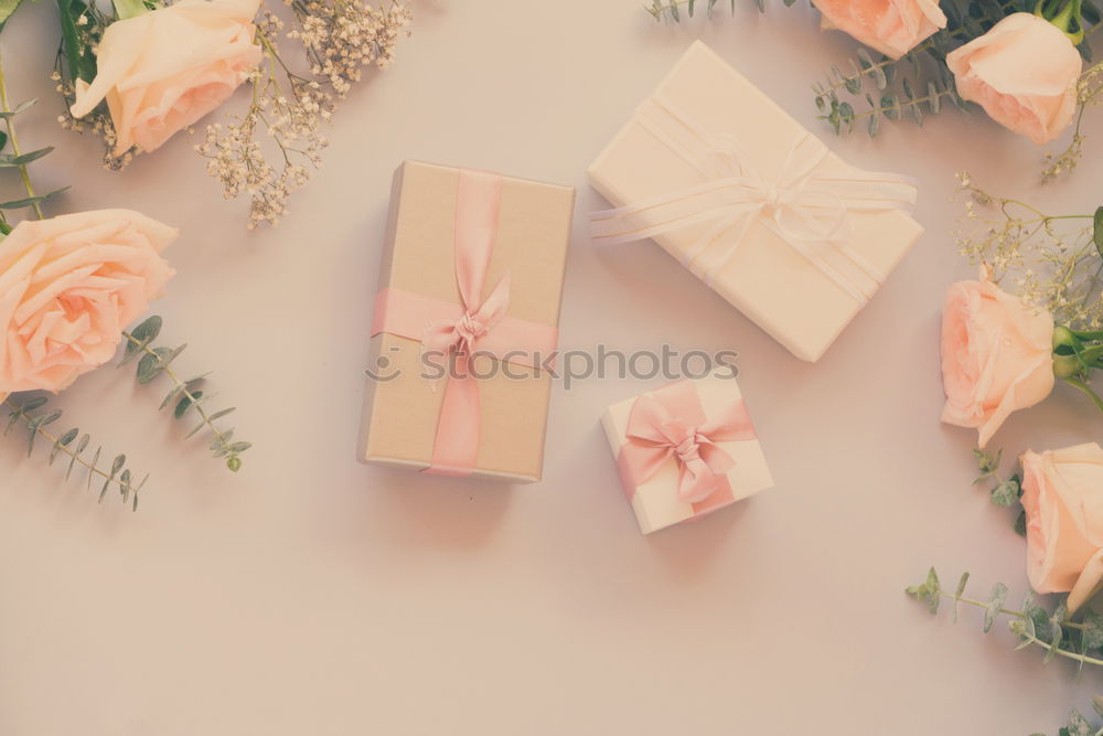 Similar – Image, Stock Photo Empty greeting card with bow and flowers on pastel background