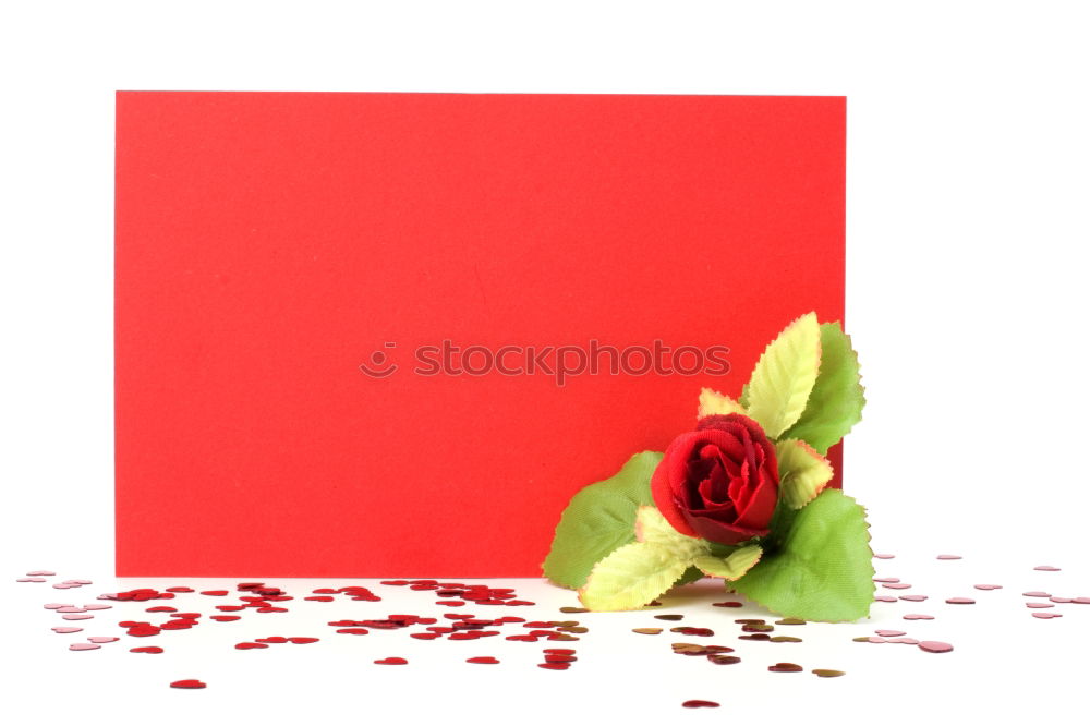 Similar – Image, Stock Photo Pink notebook and a single flower on a bicolored background.