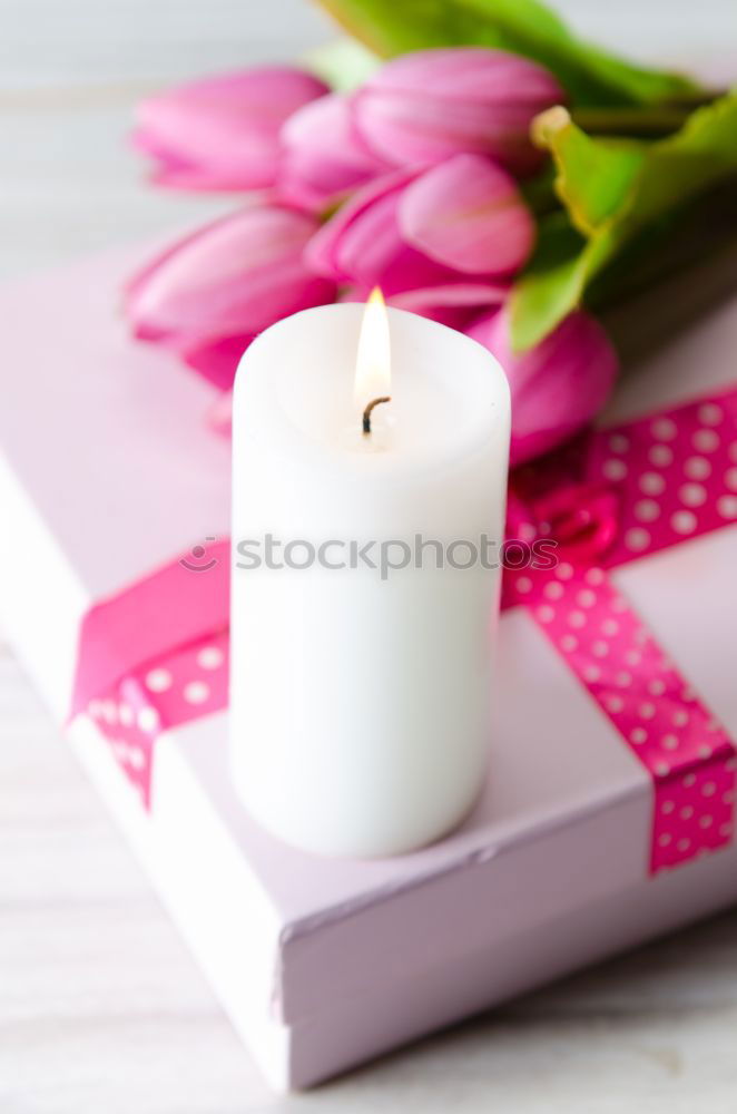 Lit candle isolated on a pink background. Aromatic pink candle burning