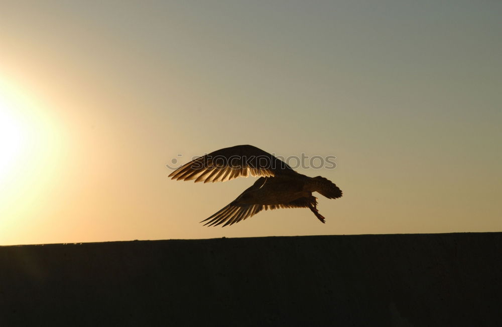 Similar – Image, Stock Photo on the run Environment