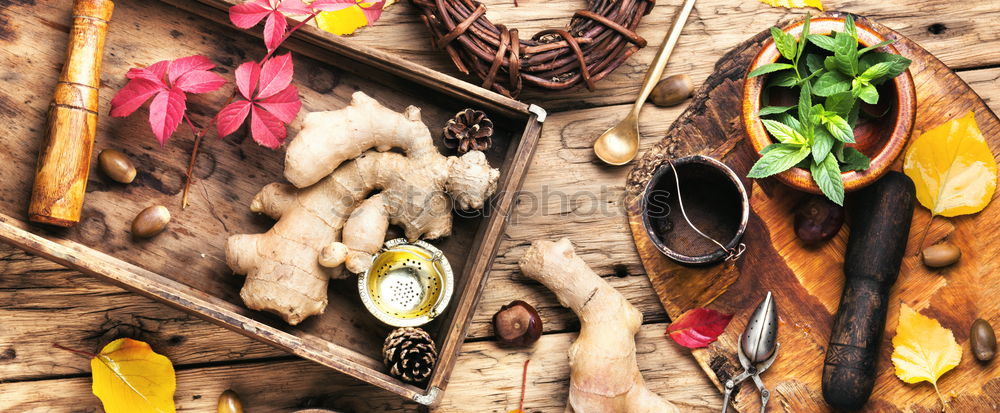 Similar – Image, Stock Photo Set of roots of medicinal plants