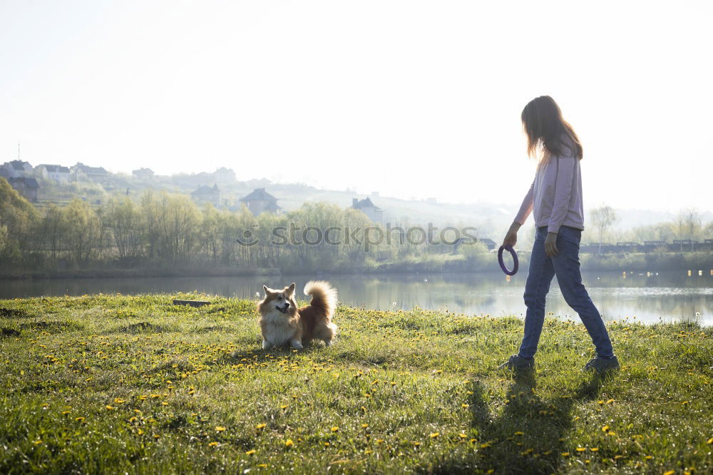 happy child girl walking country road with her dog