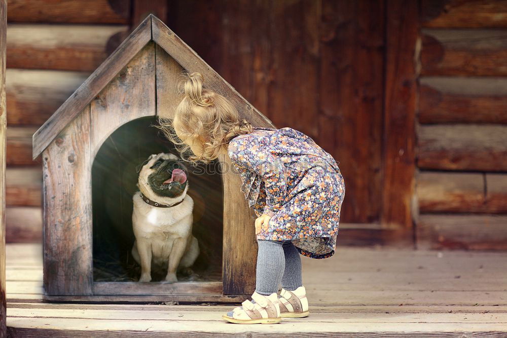 Similar – A nosy neighbor peers over a garden fence. Looking through binoculars.