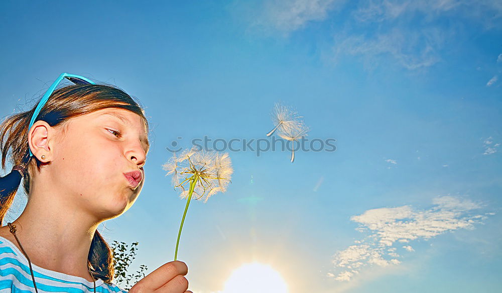 Similar – Blowing Dandelion Air