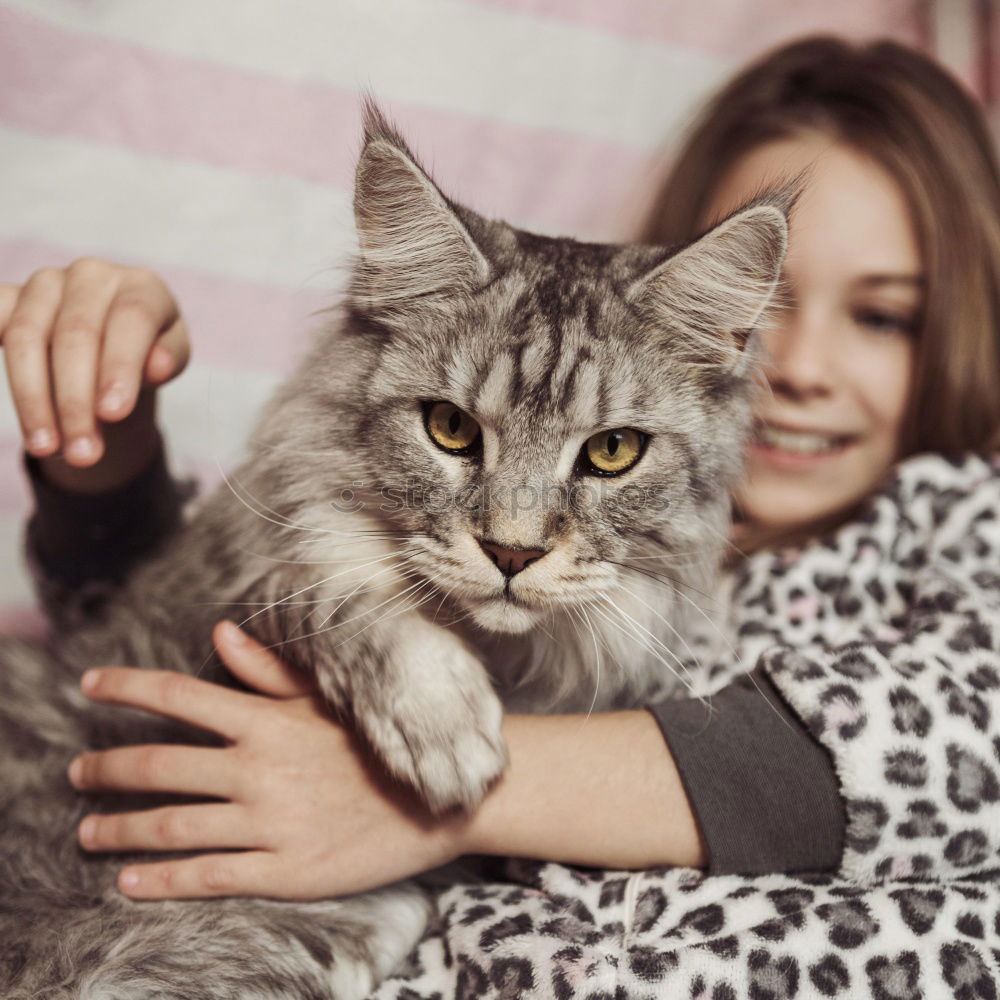 Similar – Image, Stock Photo look Feminine Young woman