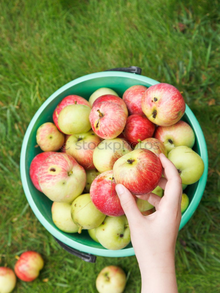 Similar – summer apples Food Fruit