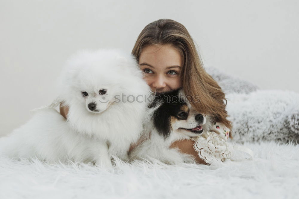 Similar – Image, Stock Photo happy girl with dog Joy