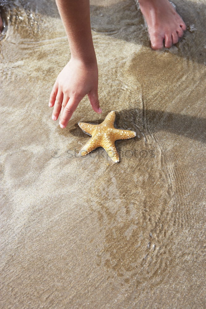 Similar – Starfish and feet on the beach