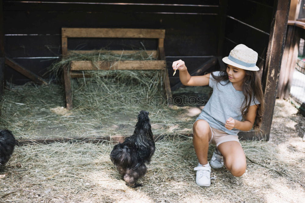 Similar – kid girl feeding calf on cow farm.