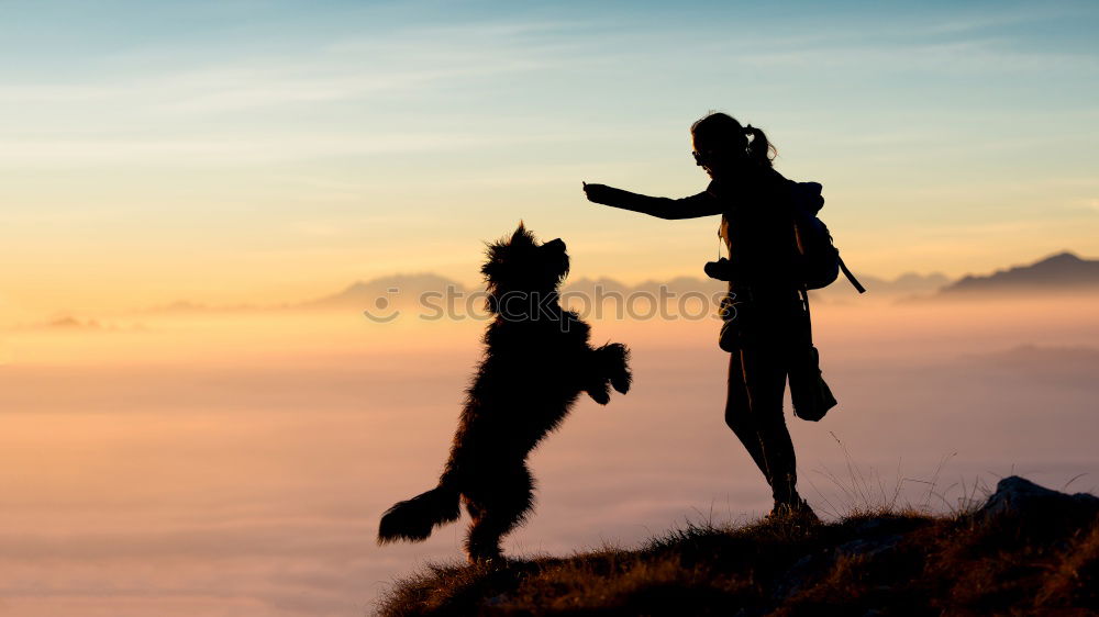 Similar – Beautiful little girl and her dog playing at sunset together