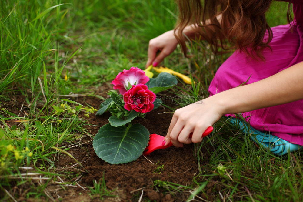 Image, Stock Photo water flowers Easter Child