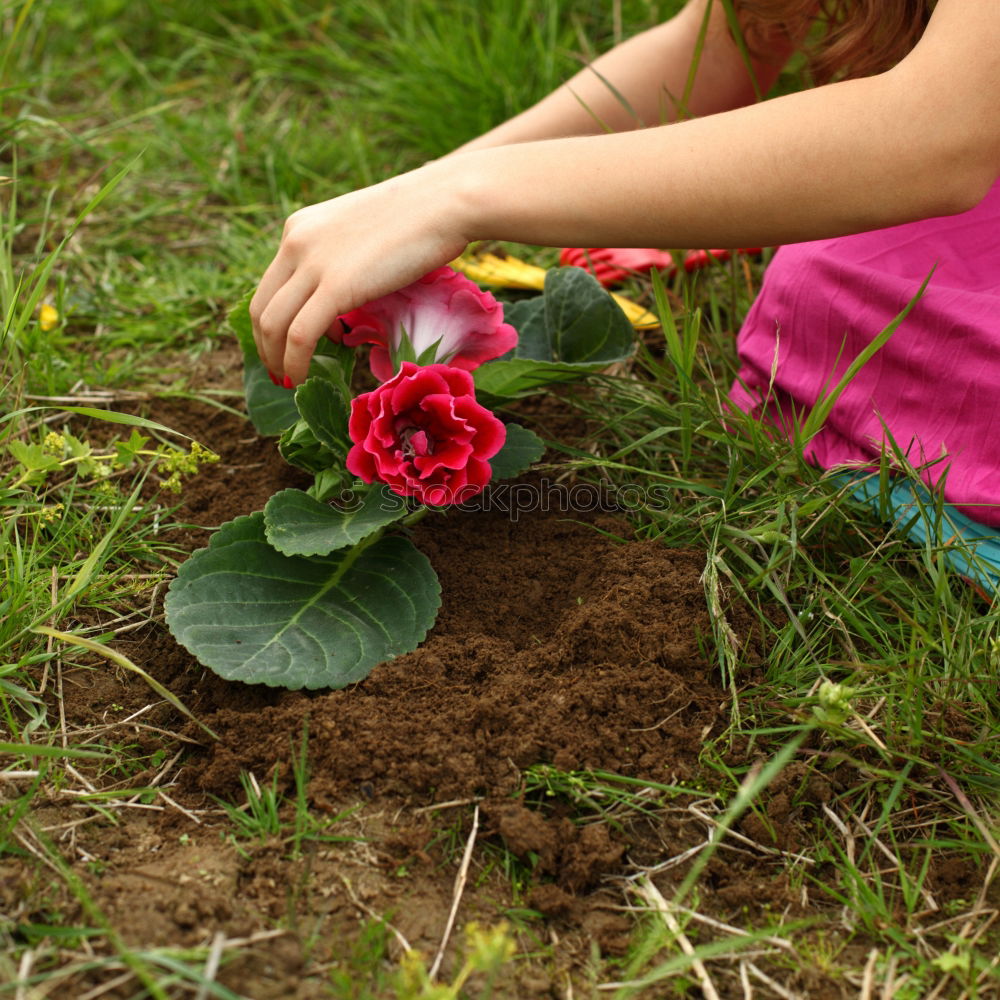 Similar – Image, Stock Photo water flowers Easter Child