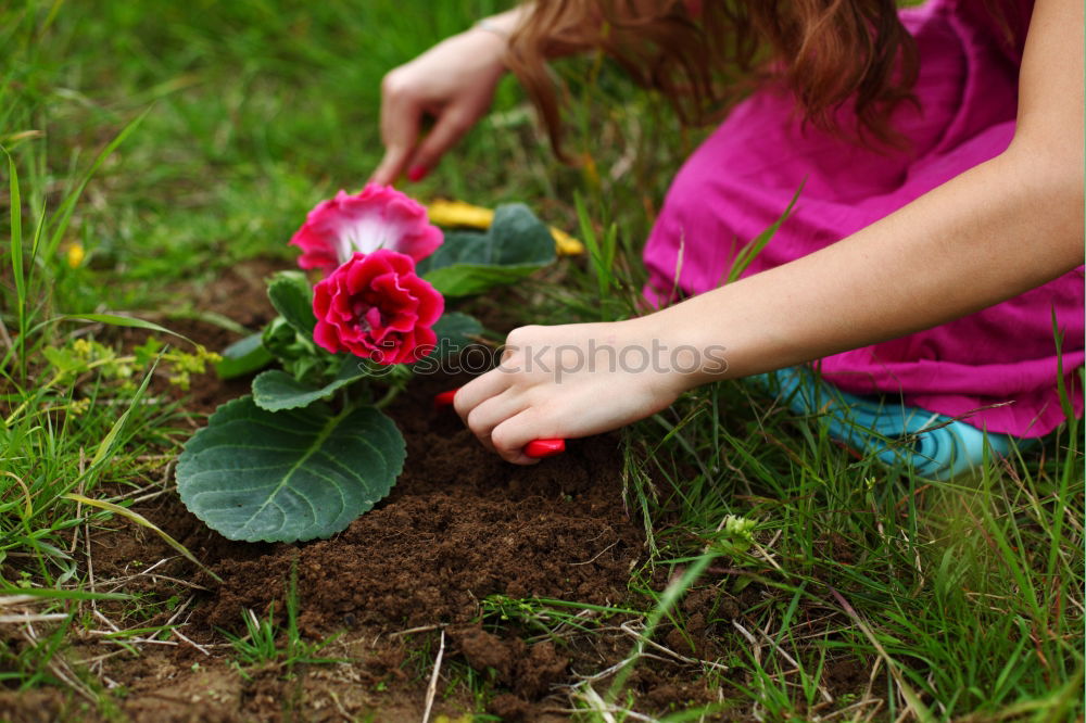 Similar – Image, Stock Photo water flowers Easter Child