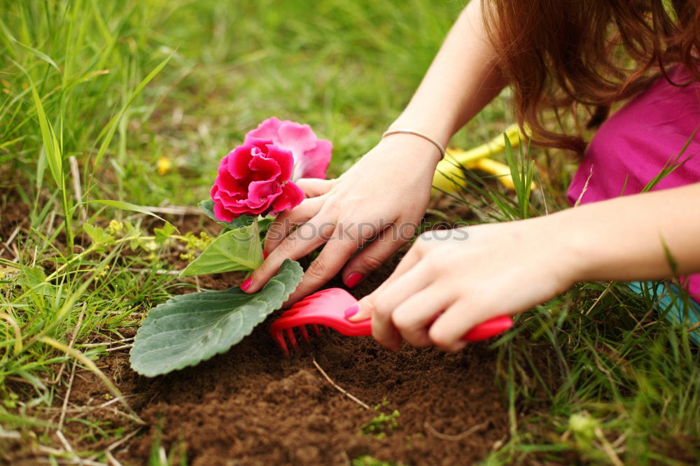 Similar – Image, Stock Photo water flowers Easter Child