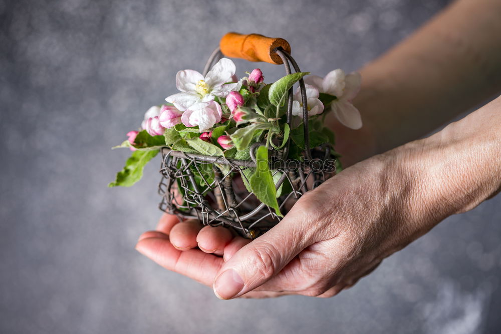 Similar – Image, Stock Photo Binding a bouquet of garden flowers