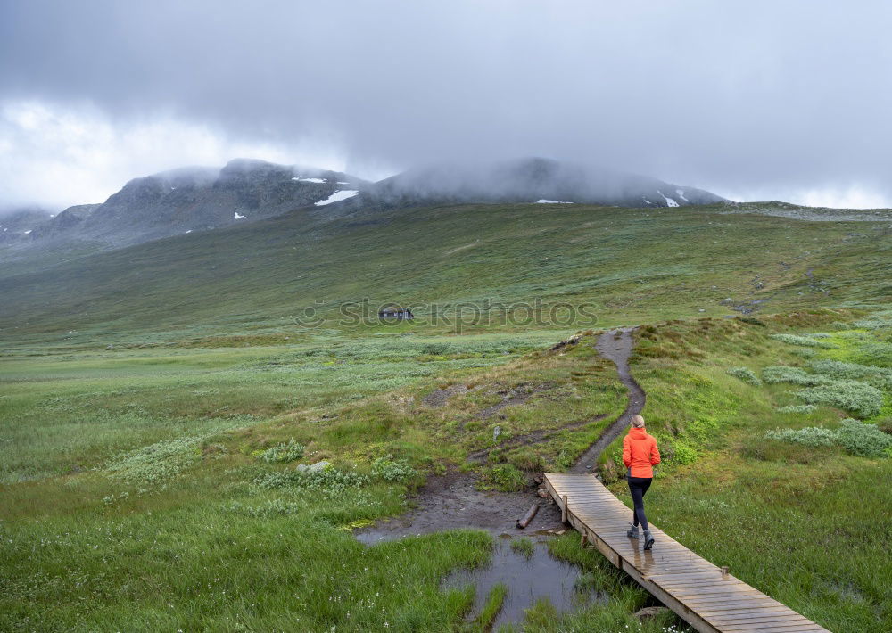 Similar – Image, Stock Photo doubts about the view