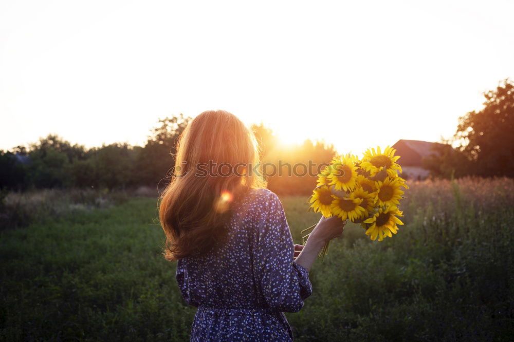 Similar – Image, Stock Photo #A# Autumn quality 1