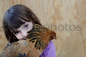 Similar – Image, Stock Photo Feed animals Parenting