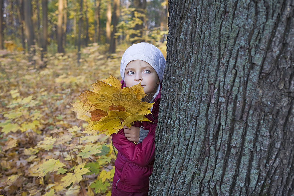 Similar – Image, Stock Photo ONE LAST LOOK Leaf Brown