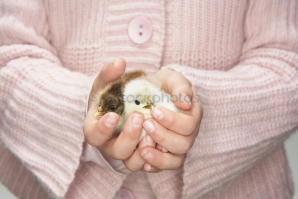 Similar – Foto Bild Sanft gehalten. Umwelt