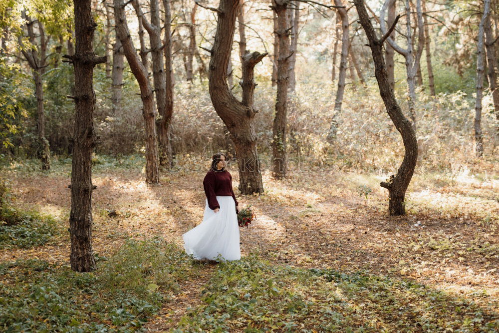 Similar – Young woman in forest behind trees