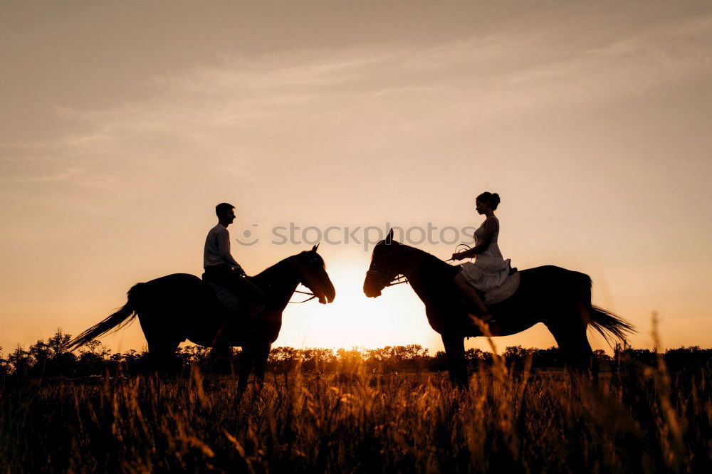 Lucky Luke & Friend Horse