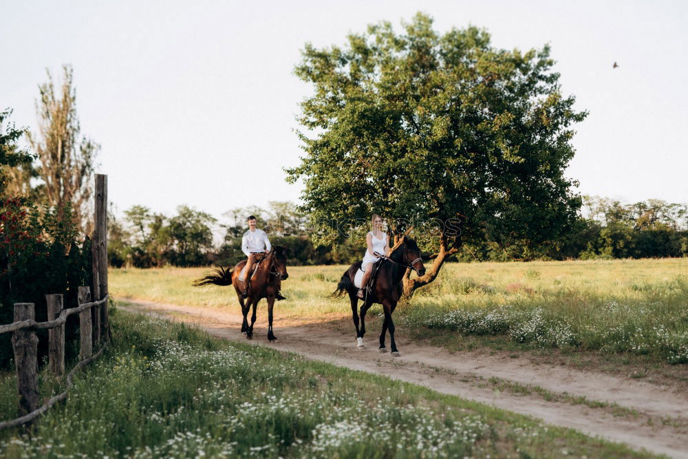 Similar – Lucky Luke & Friend Horse