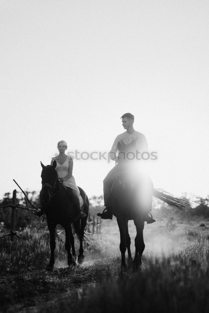 Similar – Image, Stock Photo steppe ride Ride Nature