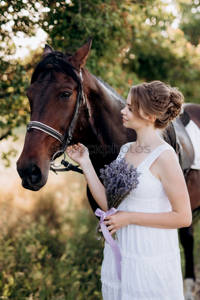 Similar – Image, Stock Photo Fuck the prince, I’ll take the horse.